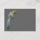 Carte De Visite Écureuil - gris (Dos)