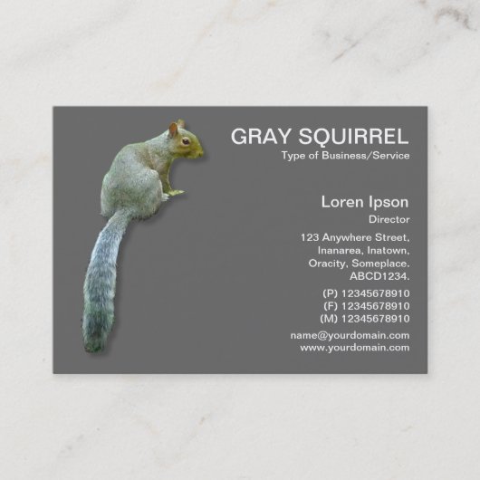 Carte De Visite Écureuil - gris (Devant)