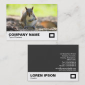 Carte De Visite Écureuil gris (Devant / Derrière)