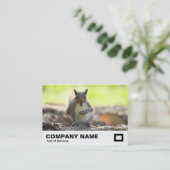 Carte De Visite Écureuil gris (Debout devant)