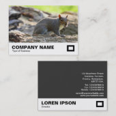 Carte De Visite Écureuil gris (Devant / Derrière)