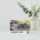 Carte De Visite Écureuil gris (Debout devant)