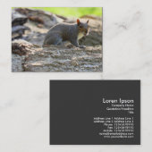 Carte De Visite Écureuil gris (Devant / Derrière)