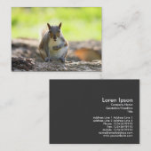 Carte De Visite Écureuil gris (Devant / Derrière)