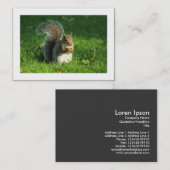 Carte De Visite Écureuil gris, Bute Park, Cardiff (Bordé) (Devant / Derrière)