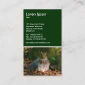 Carte De Visite Écureuil gris - Vert foncé (Dos)