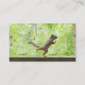 Carte De Visite Écureuil mignon faisant le Chi de Tai (Dos)