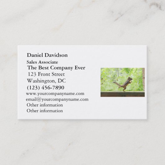 Carte De Visite Écureuil mignon faisant le Chi de Tai (Devant)