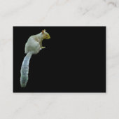 Carte De Visite Écureuil noir (Dos)