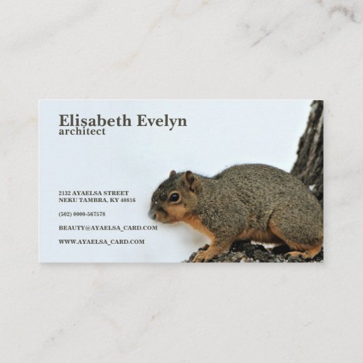Carte De Visite Écureuil renard sur Snowtree (Dos)