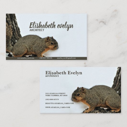 Carte De Visite Écureuil renard sur Snowtree (Devant / Derrière)