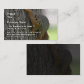 Carte De Visite Écureuil sur l'arbre (Devant / Derrière)