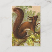 Carte De Visite Écureuil Vintage (Dos)