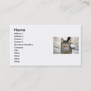 Carte de visite égyptien