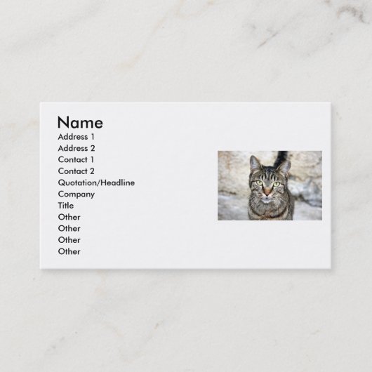 Carte de visite égyptien (Devant)