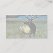 Carte De Visite Élans de Taureau (Dos)