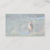 Carte De Visite Élans de Taureau (Dos)