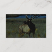 Carte De Visite Élans de Taureau (Dos)