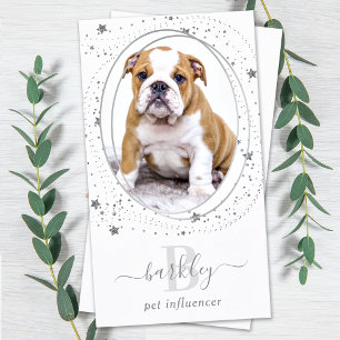 Carte De Visite Elégant Argent Stars Photo Médias sociaux Monogram