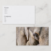 CARTE DE VISITE ÉLÉPHANT (Devant / Derrière)