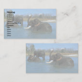 Carte De Visite Éléphants d'Asie se couchant, se baignant (Devant / Derrière)