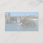 Carte De Visite Éléphants d'Asie se couchant, se baignant (Dos)
