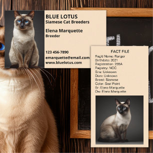 Carte De Visite Élevage Félin Professionnel, Éleveurs de Chats Sia