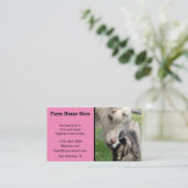 Carte De Visite Éleveur de chèvres naines nigérianes roses (Debout devant)