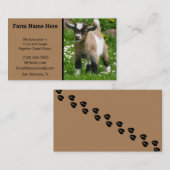 Carte De Visite Éleveur de chèvres naines pygmées (Devant / Derrière)