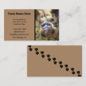 Carte De Visite éleveur de cochons KuneKune (Devant / Derrière)
