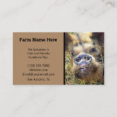Carte De Visite éleveur de cochons KuneKune (Devant)