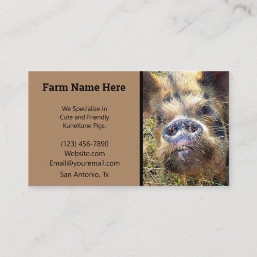 Carte De Visite éleveur de cochons KuneKune (Devant)