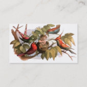 Carte De Visite Elfe des bois dans le nid : Antique Oiseau Sprite  (Dos)