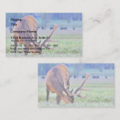 Carte De Visite Elk (Devant / Derrière)