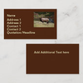 Carte De Visite Elk dans le désert (Devant / Derrière)