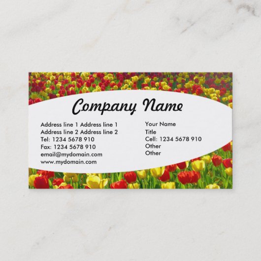 Carte De Visite Elliptique - Mer des Tulipes (Devant)