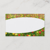 Carte De Visite Elliptique - Mer des Tulipes II (Dos)