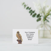 Carte De Visite Empaillage d'un hibou (Debout devant)