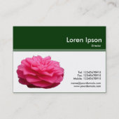 Carte De Visite En-tête de couleur III - Camellia rose - Vert fonc (Dos)