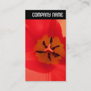 Carte De Visite En-tête V - À l'intérieur d'une tulipe