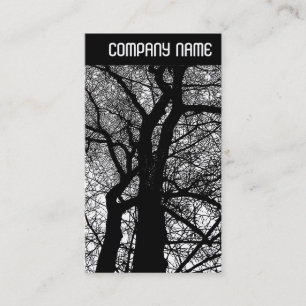 Carte De Visite En-tête V - Arbres à contraste élevé