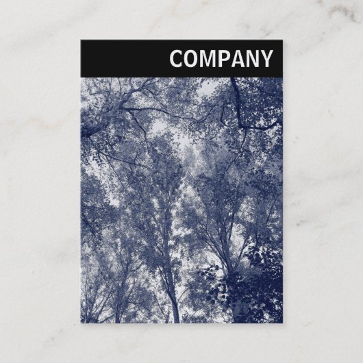 Carte De Visite En-tête V - Automne Bleu (Devant)