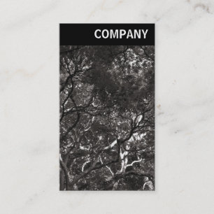 Carte De Visite En-tête V - Branches japonaises 01