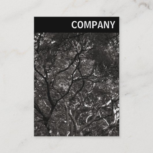 Carte De Visite En-tête V - Branches japonaises 01 (Devant)