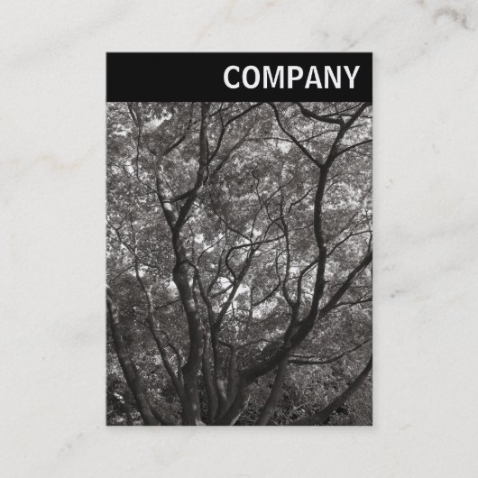 Carte De Visite En-tête V - Branches japonaises 02 (Devant)