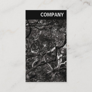 Carte De Visite En-tête V - Branches japonaises 03