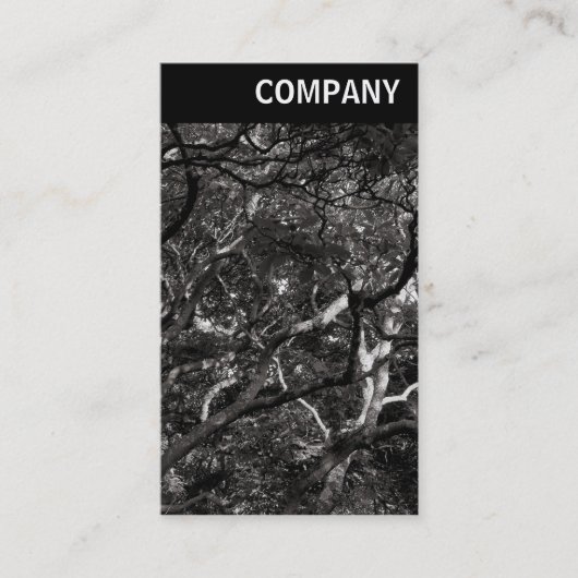 Carte De Visite En-tête V - Branches japonaises 03 (Devant)