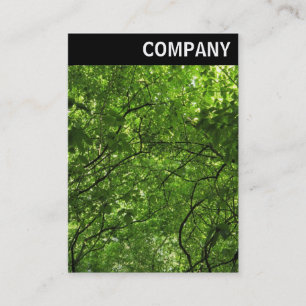 Carte De Visite En-tête V - Canopée en bois