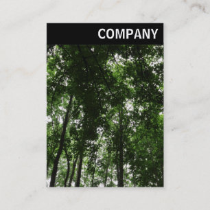 Carte De Visite En-tête V - Canopée en bois 01