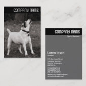 Carte De Visite En-tête V - Chien Agog (Devant / Derrière)